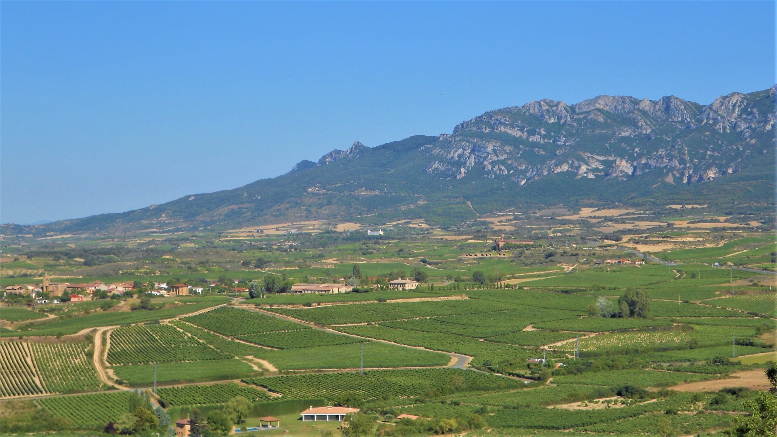 北スペインの観光スポットであるリオハのブドウ畑